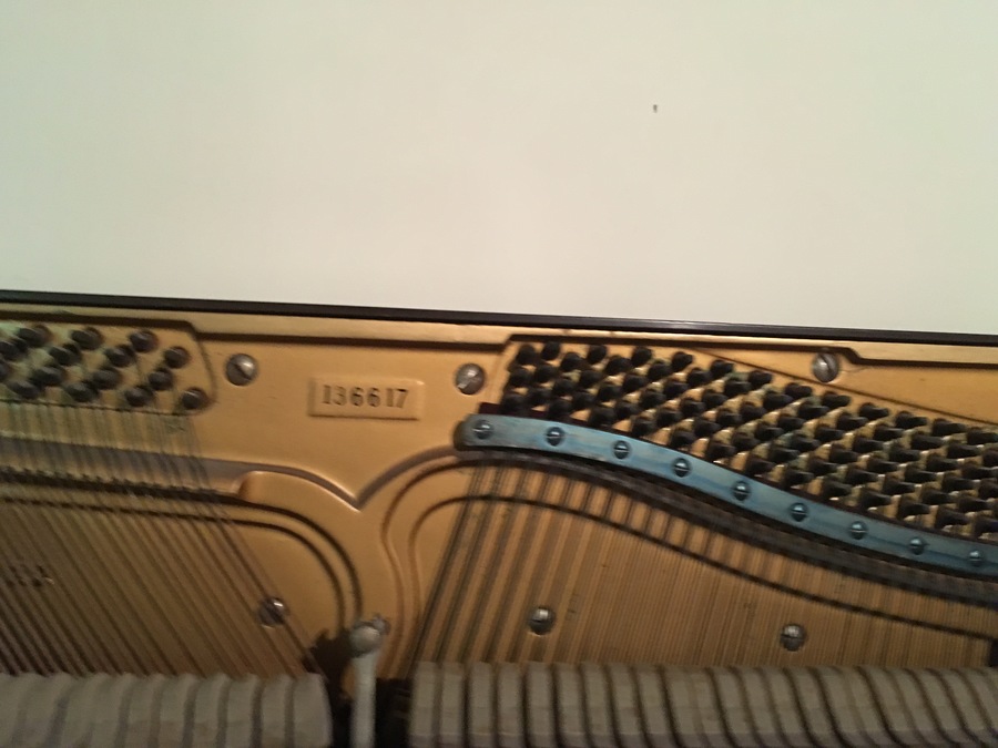 Lyon and healy harp serial numbers year